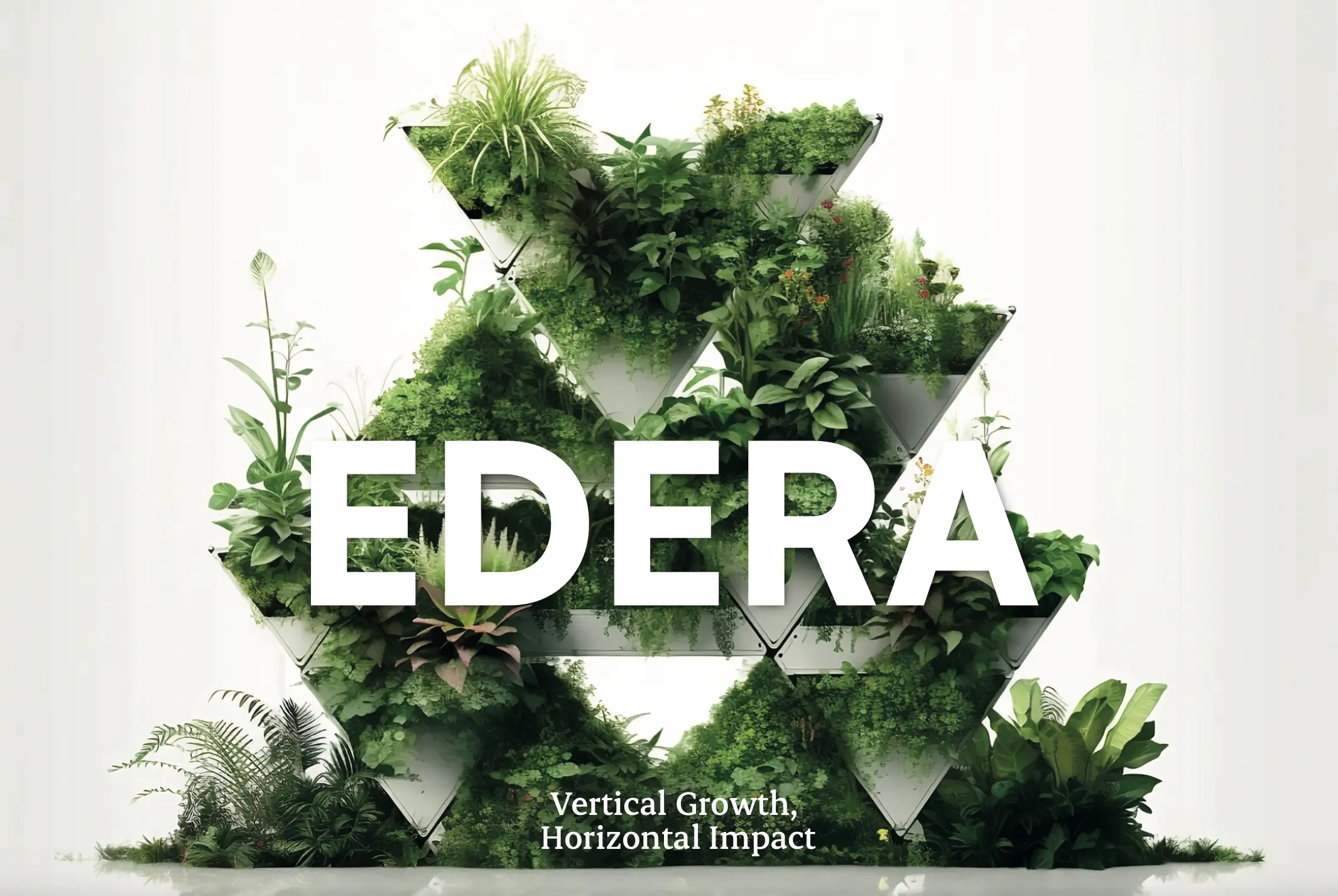 Edera
